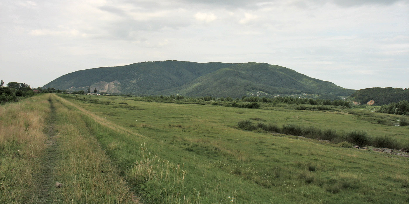 Виноградов, изображение ландшафта.