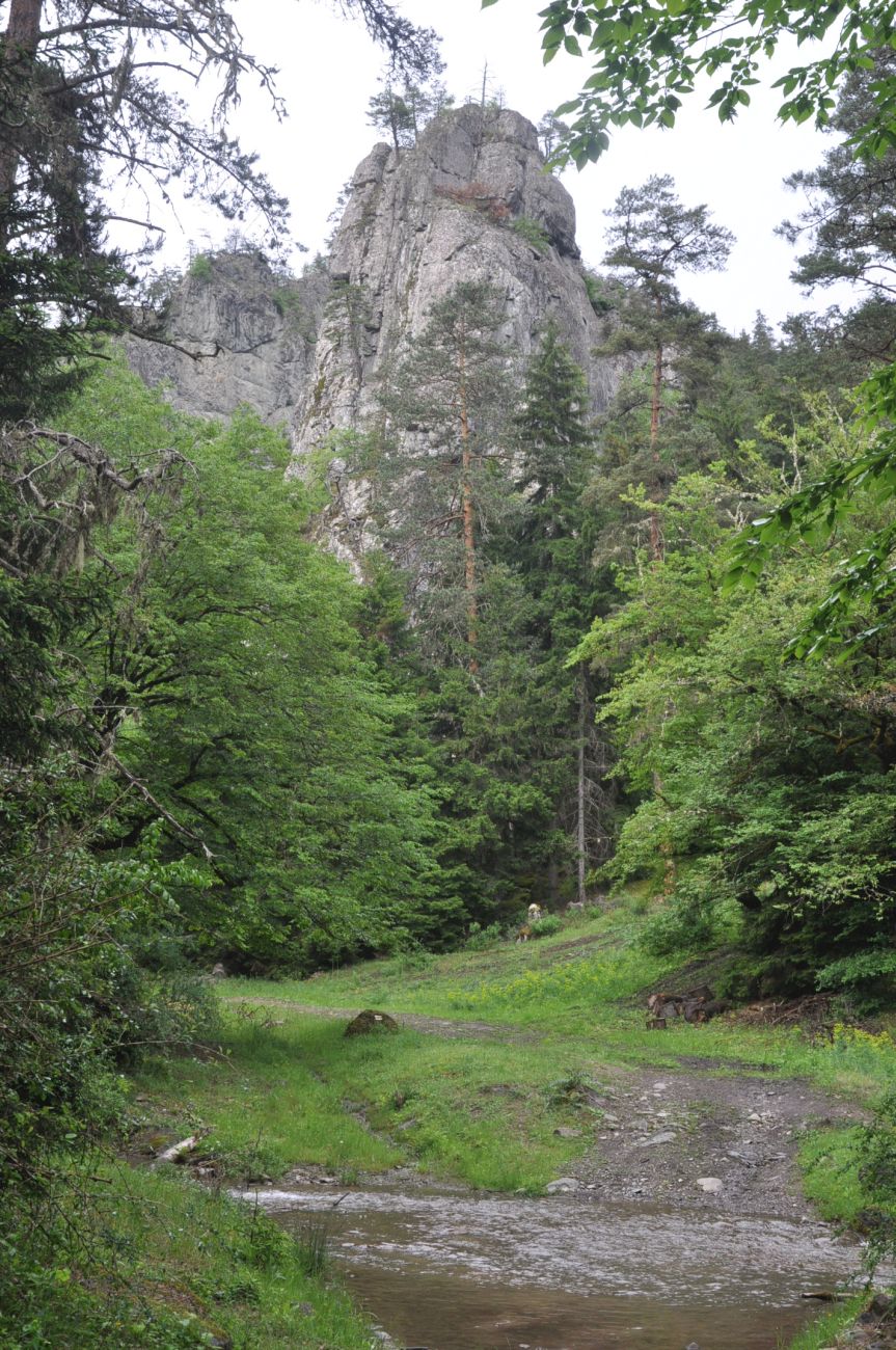 Долина ручья Квабисхеви, image of landscape/habitat.