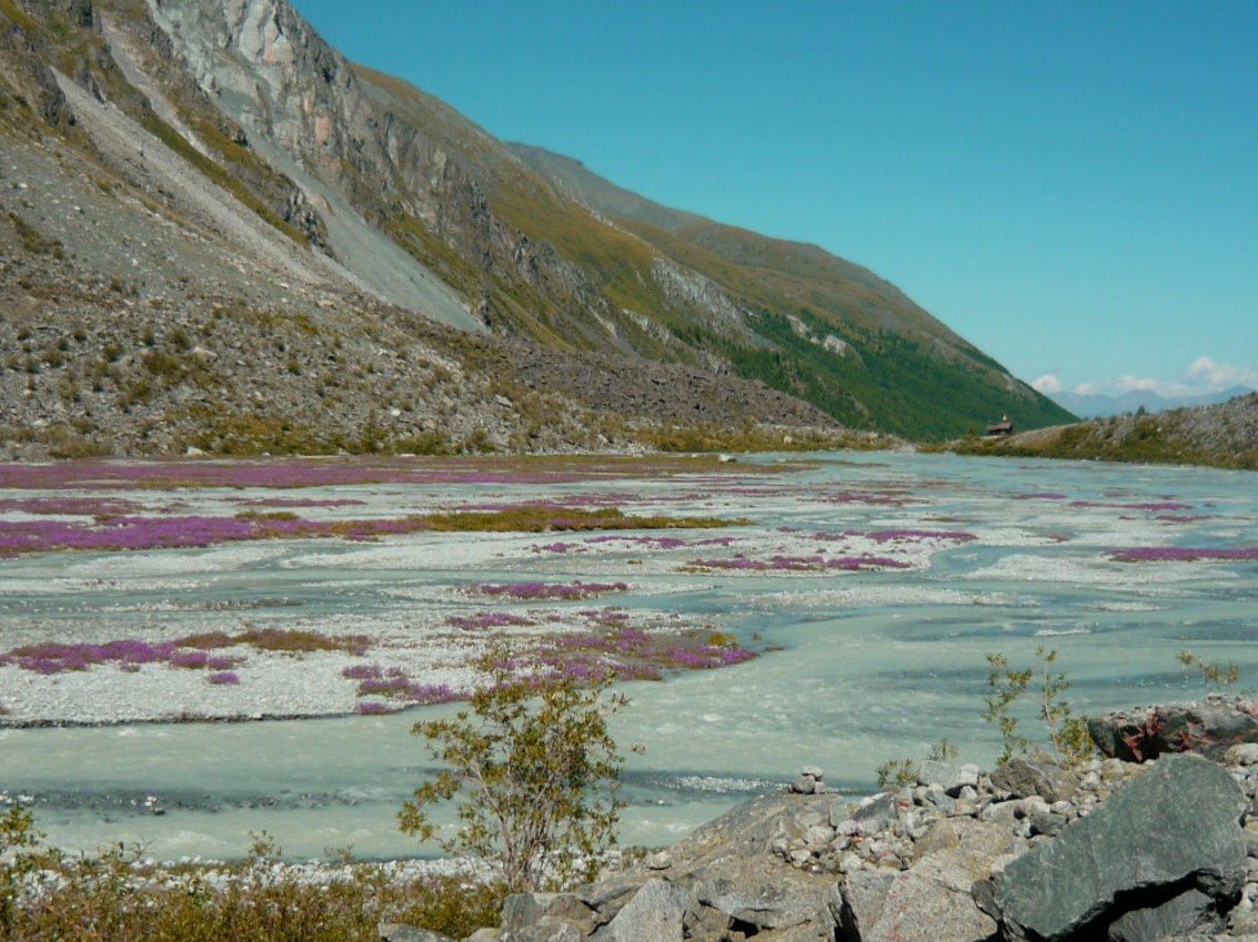 Морена Аккемского ледника, image of landscape/habitat.