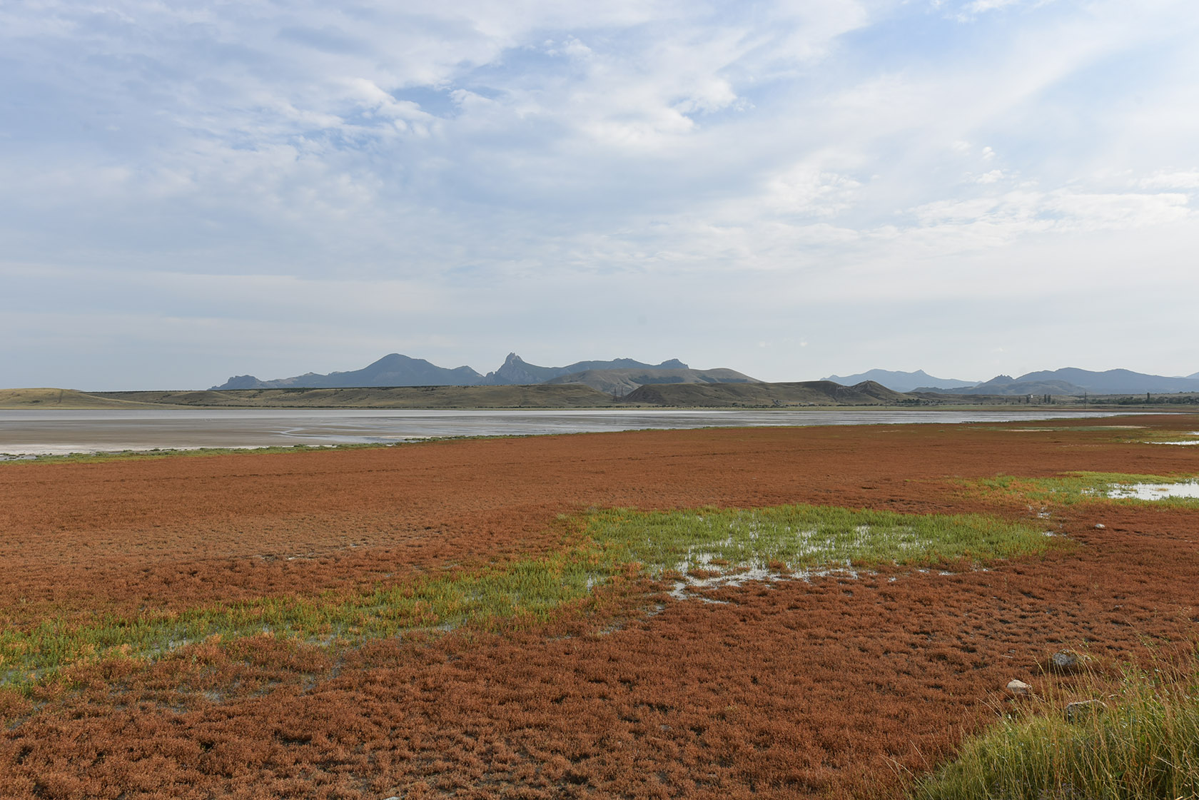 Озеро Бараколь, image of landscape/habitat.