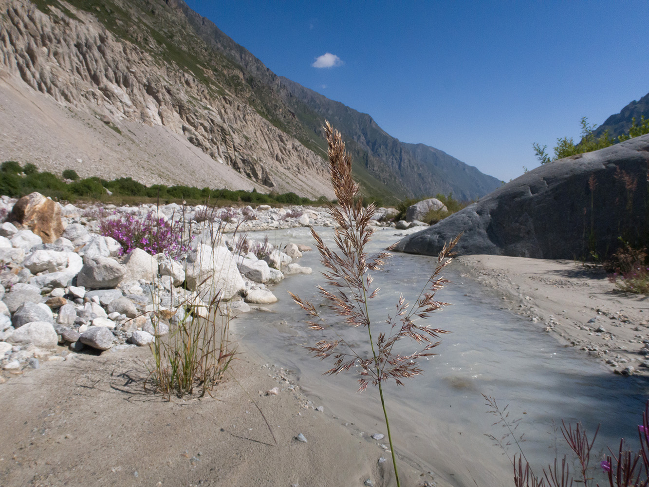 Черек-Безенгийский, image of landscape/habitat.