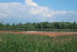 Пруды-шламонакопители ТЭЦ-4, image of landscape/habitat.