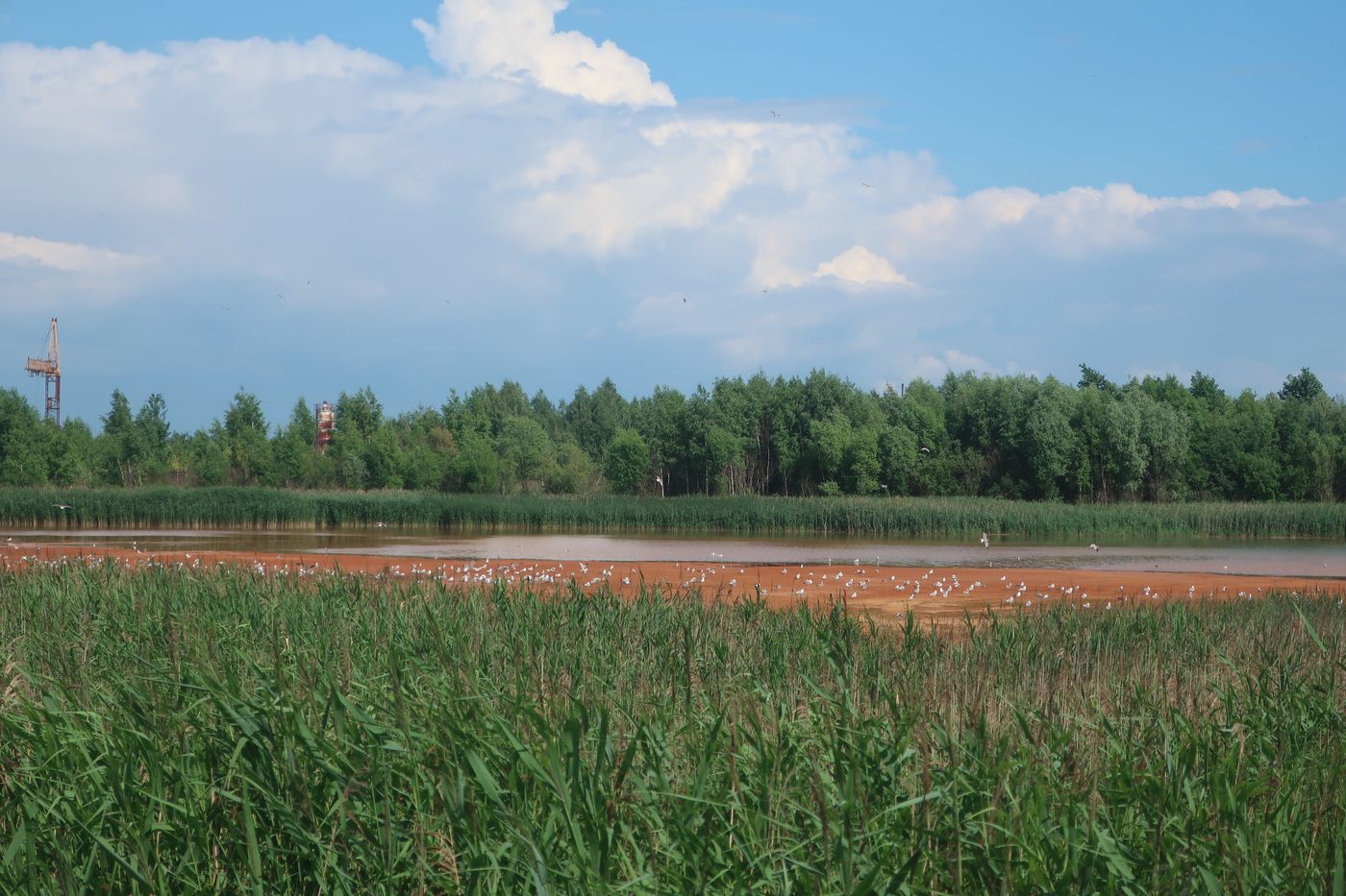 Пруды-шламонакопители ТЭЦ-4, image of landscape/habitat.