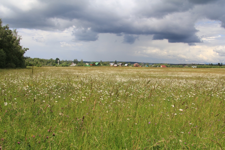 Долина р. Москва, image of landscape/habitat.