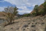 Image of landscape