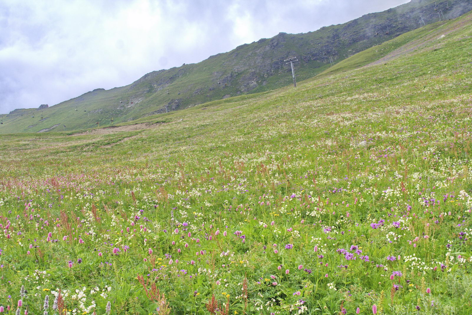 Гора Мусса-Ачитара, image of landscape/habitat.