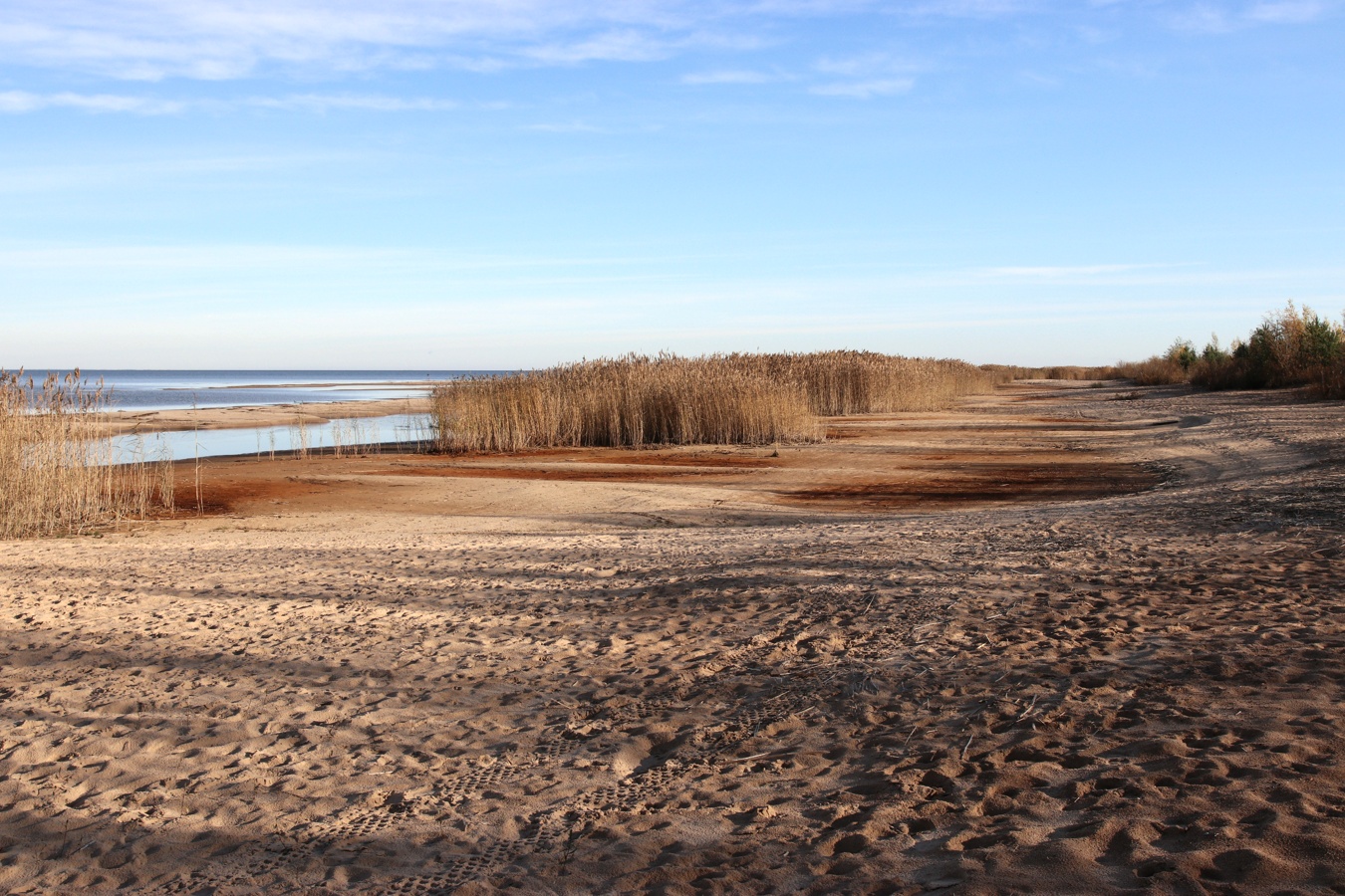 Окрестности Коккорево, image of landscape/habitat.