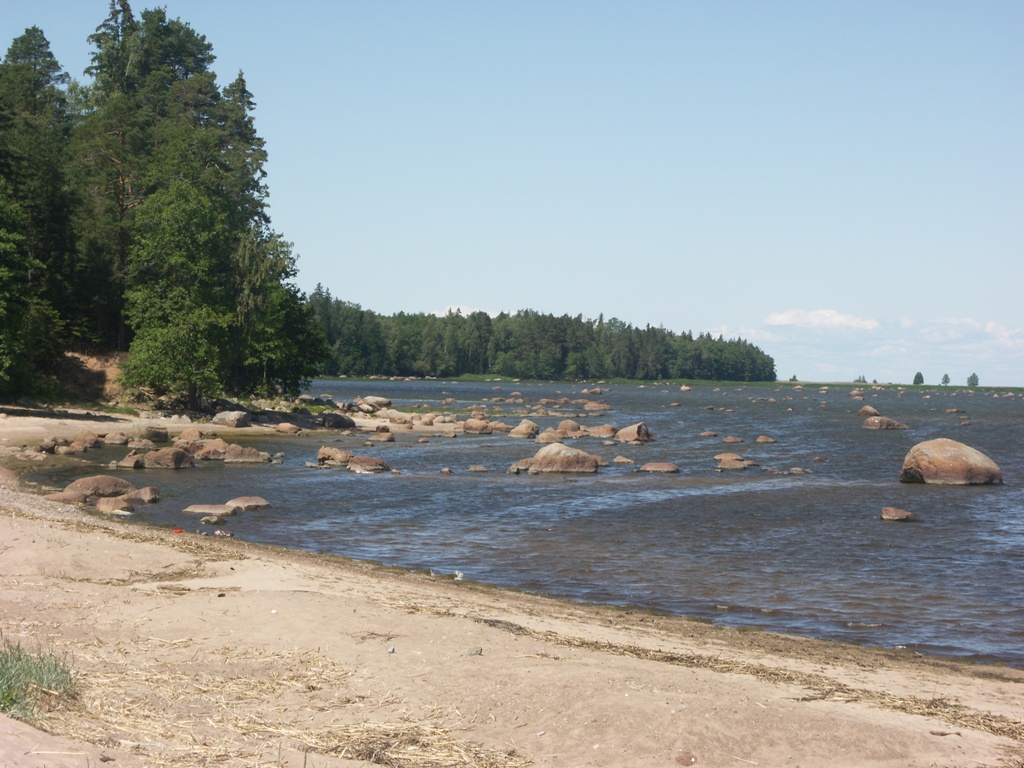 Котельский заказник, image of landscape/habitat.