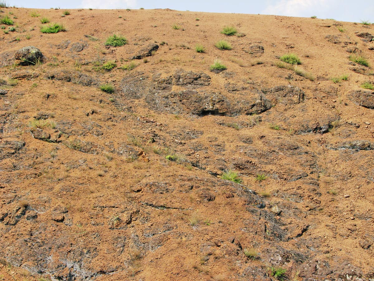 Правый берег Кальмиуса напротив Красного Октября, image of landscape/habitat.