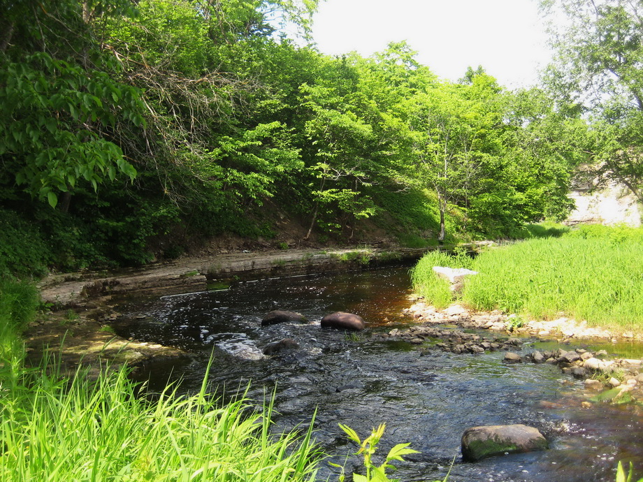 Каньон реки Лава, image of landscape/habitat.