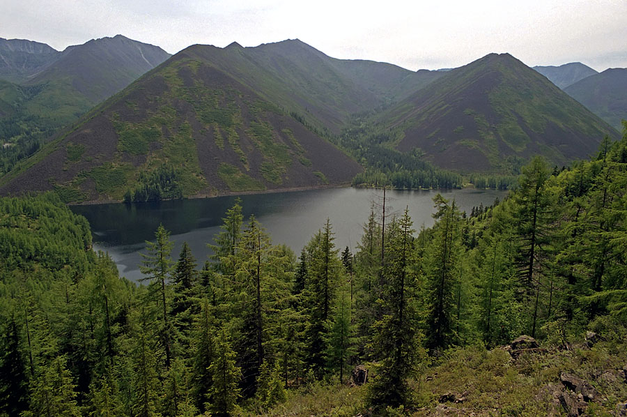 Омот-Макит, image of landscape/habitat.