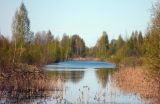 Image of landscape