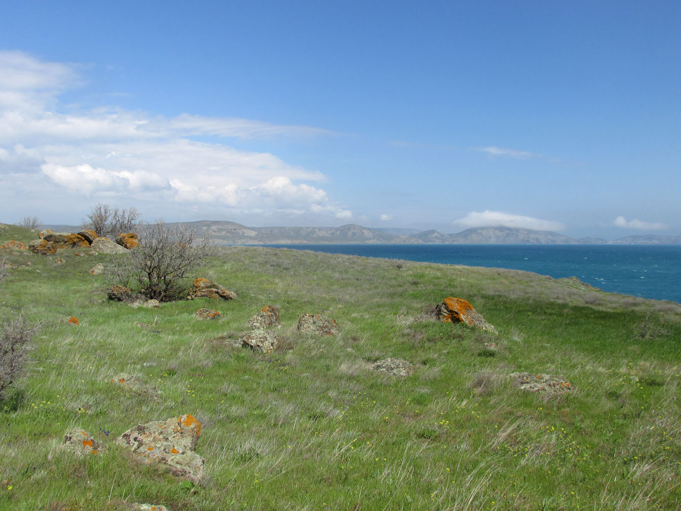 Карадаг, image of landscape/habitat.