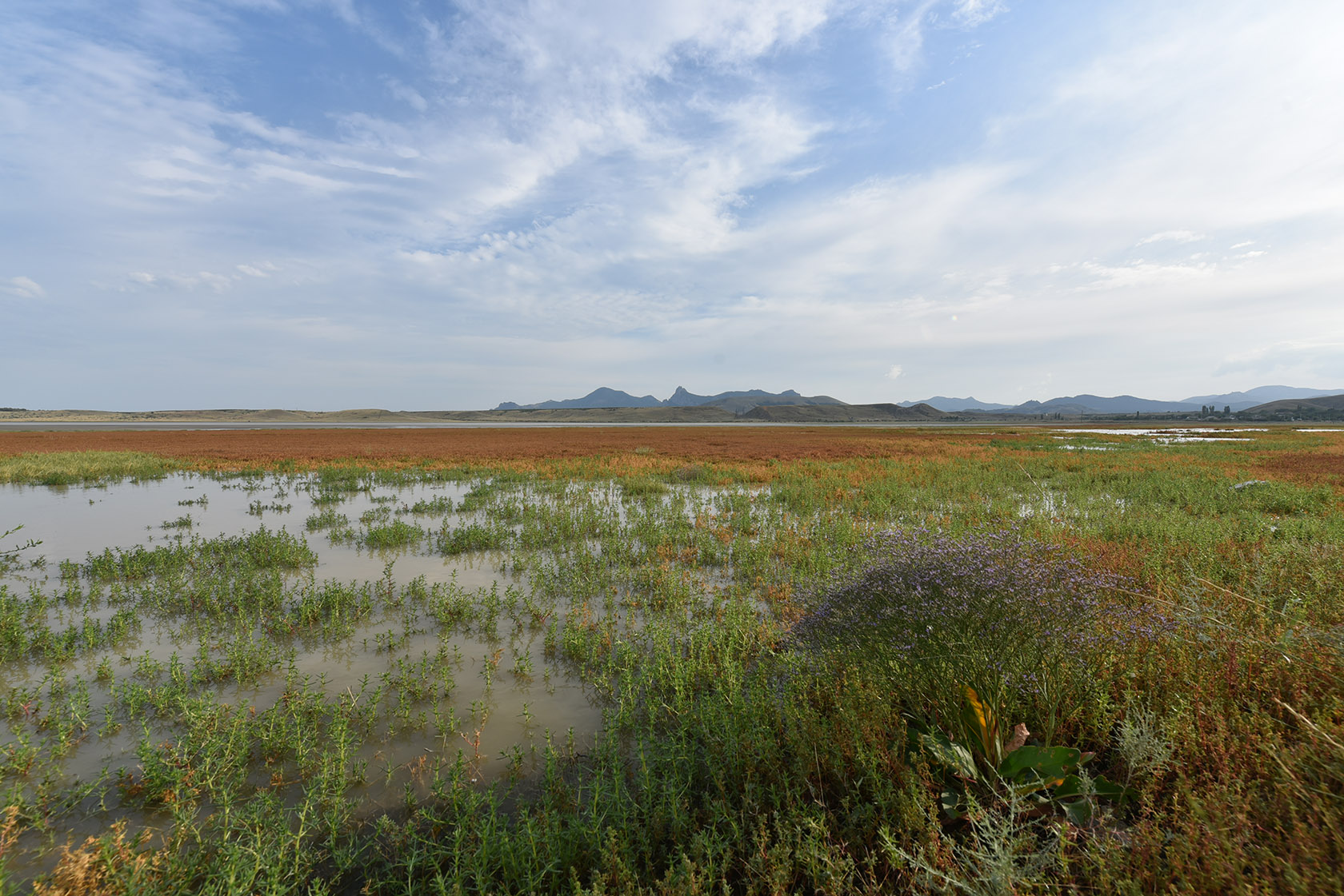 Озеро Бараколь, image of landscape/habitat.