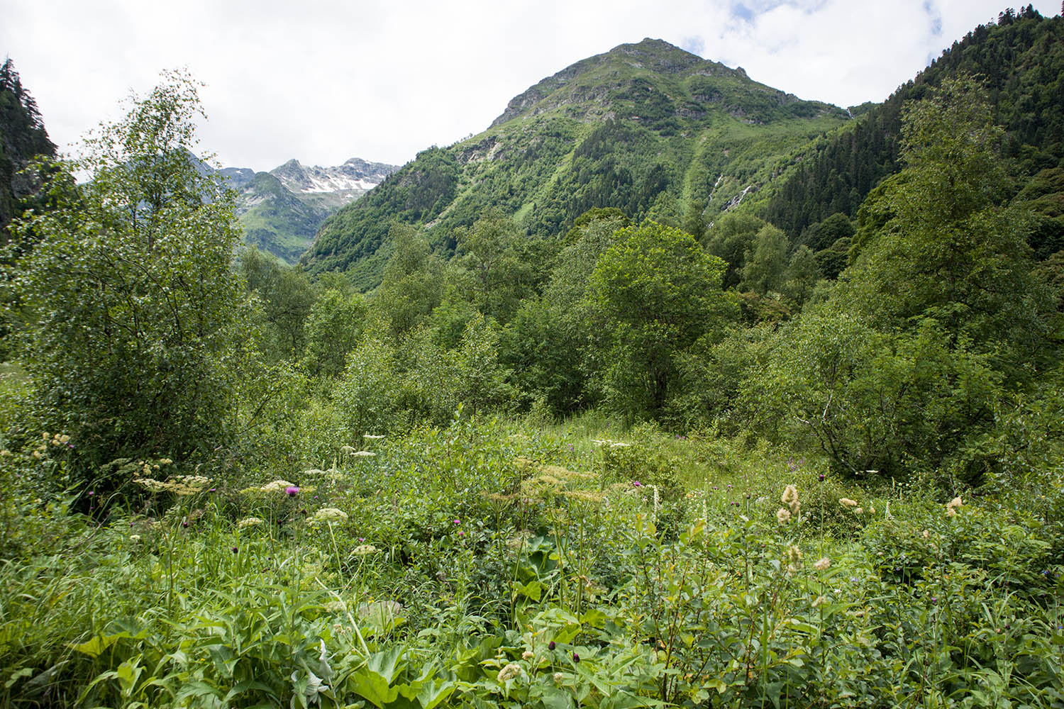 Имеретинское ущелье, image of landscape/habitat.