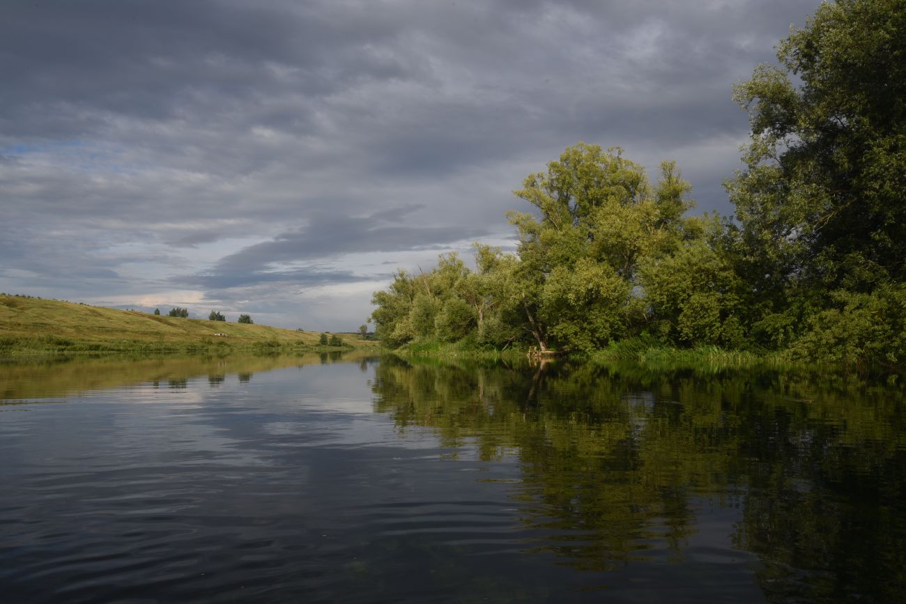 Окрестности села Долгое, image of landscape/habitat.