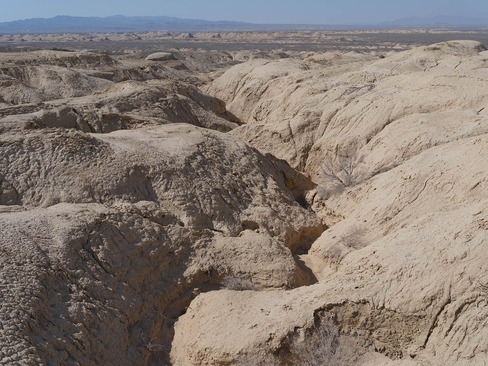 Сарымсакты, image of landscape/habitat.