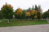 Image of landscape