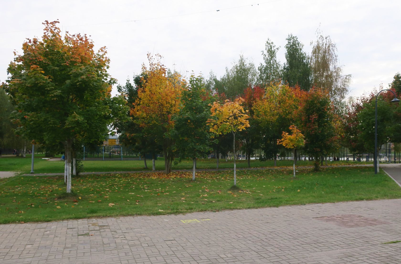 Электрогорск и его окрестности, image of landscape/habitat.