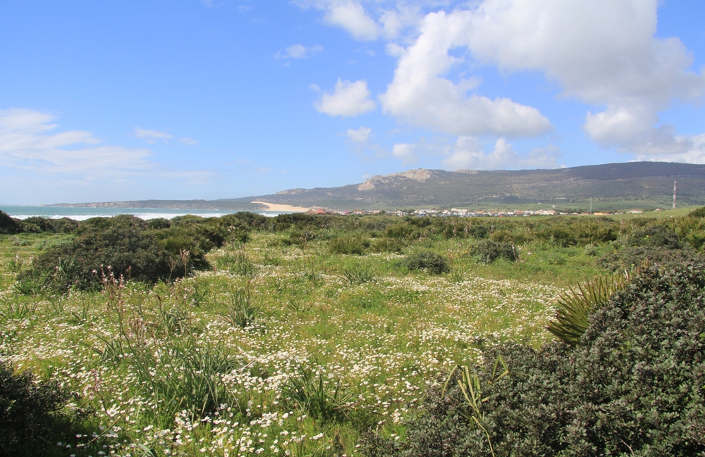 Эль Лентискаль, image of landscape/habitat.