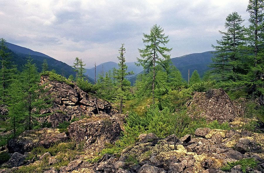 Омот-Макит, image of landscape/habitat.