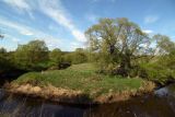 Окрестности Боровичей, image of landscape/habitat.