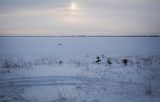 Окрестности села Красный Бор, image of landscape/habitat.