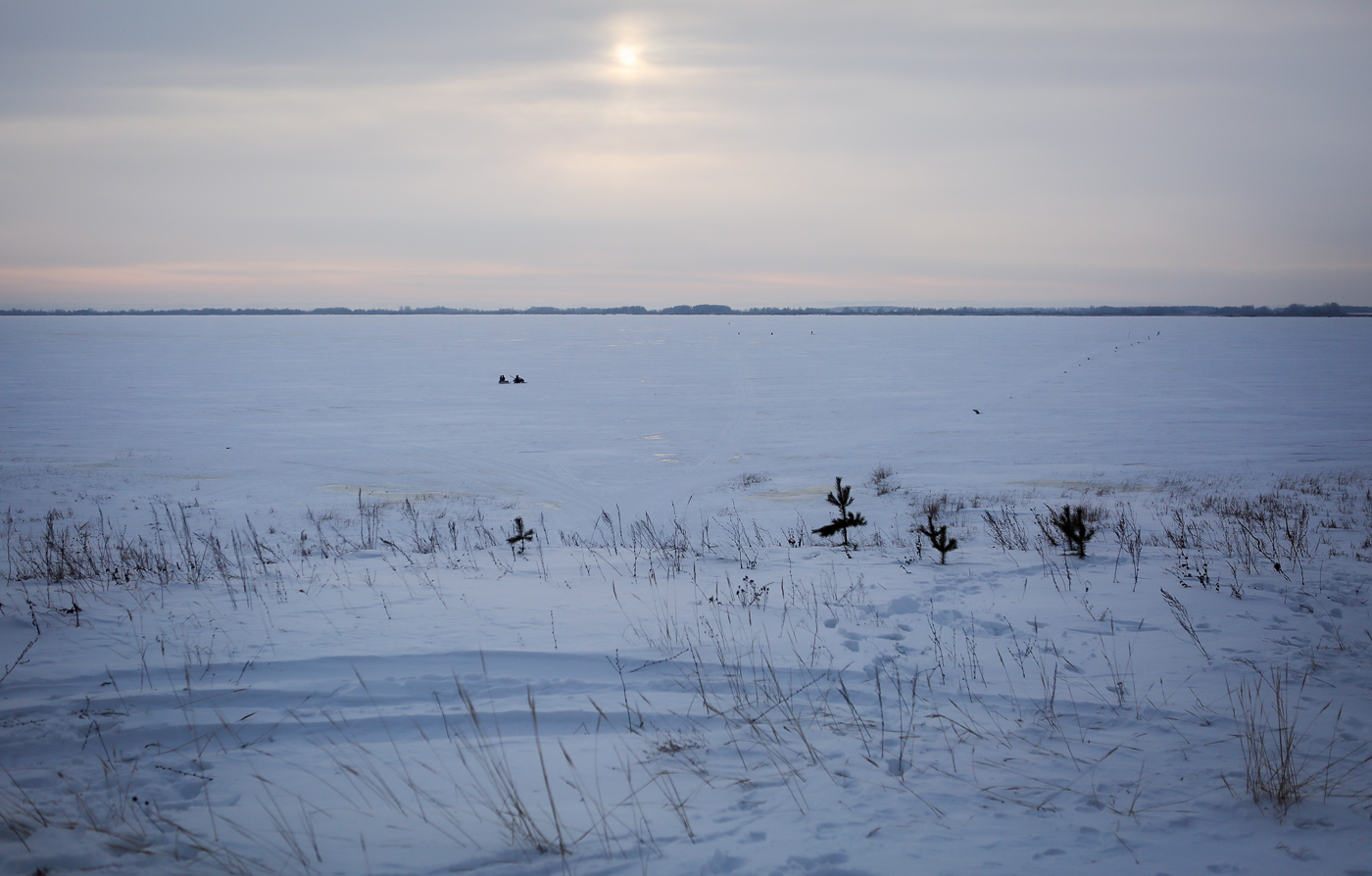 Окрестности села Красный Бор, image of landscape/habitat.