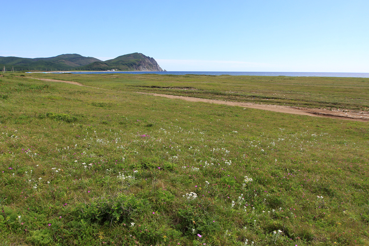 Окрестности бухты Зеркальной, image of landscape/habitat.