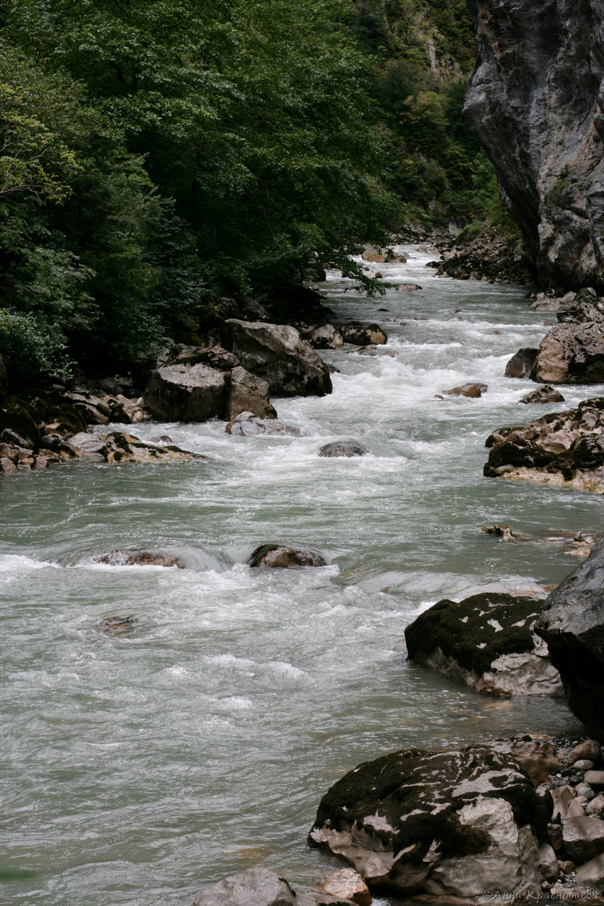 Юпшарский каньон, image of landscape/habitat.