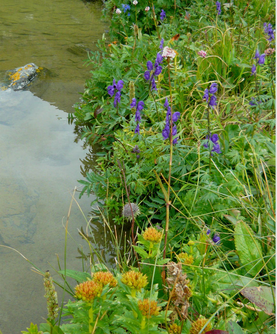 Долина Семи Озер, image of landscape/habitat.