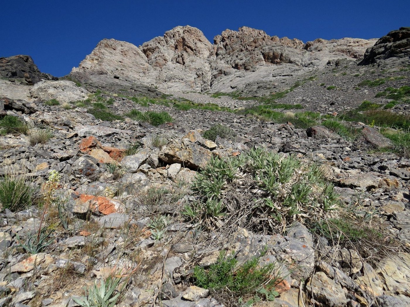 Турлан, image of landscape/habitat.