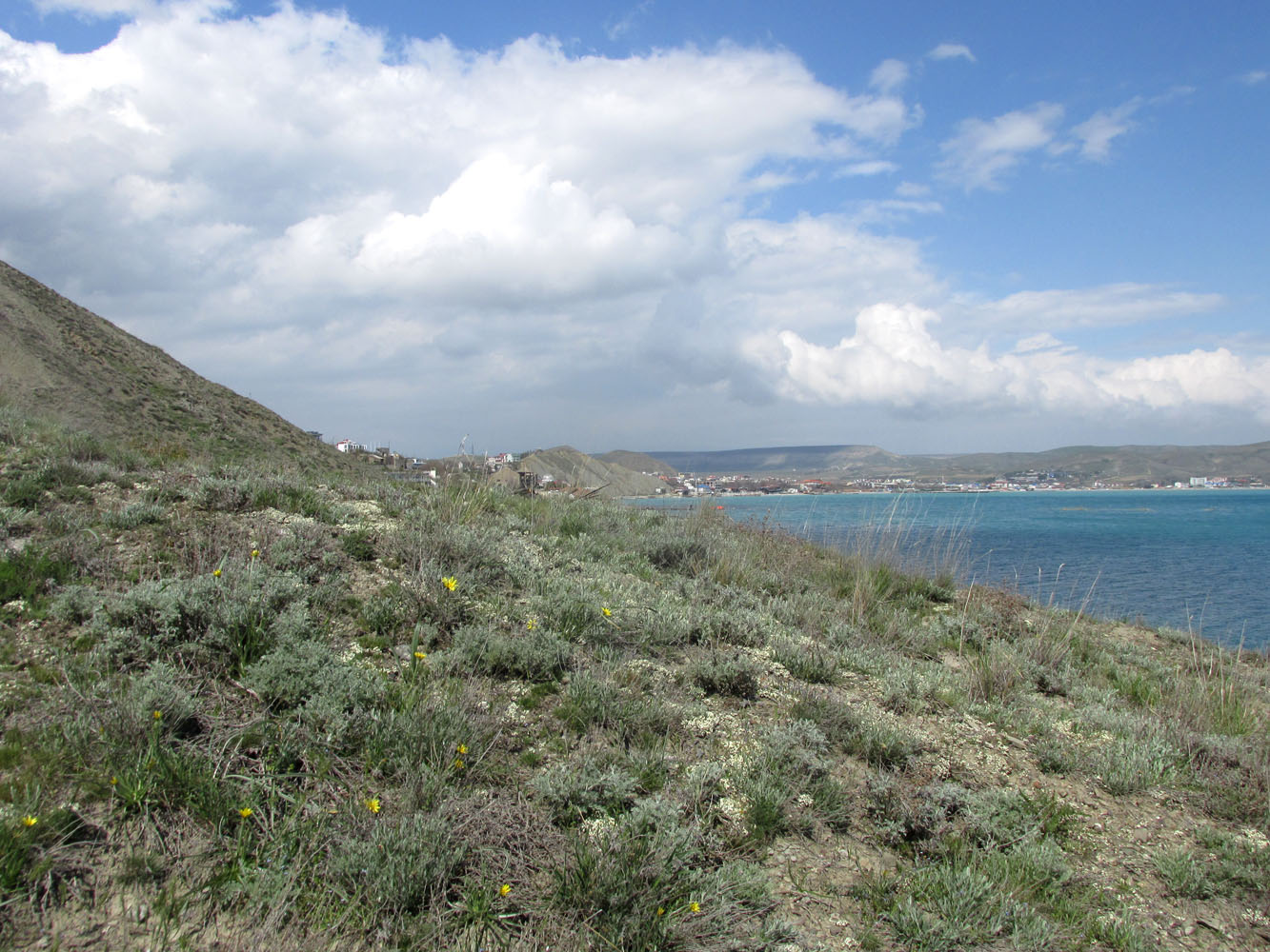 Карадаг, image of landscape/habitat.