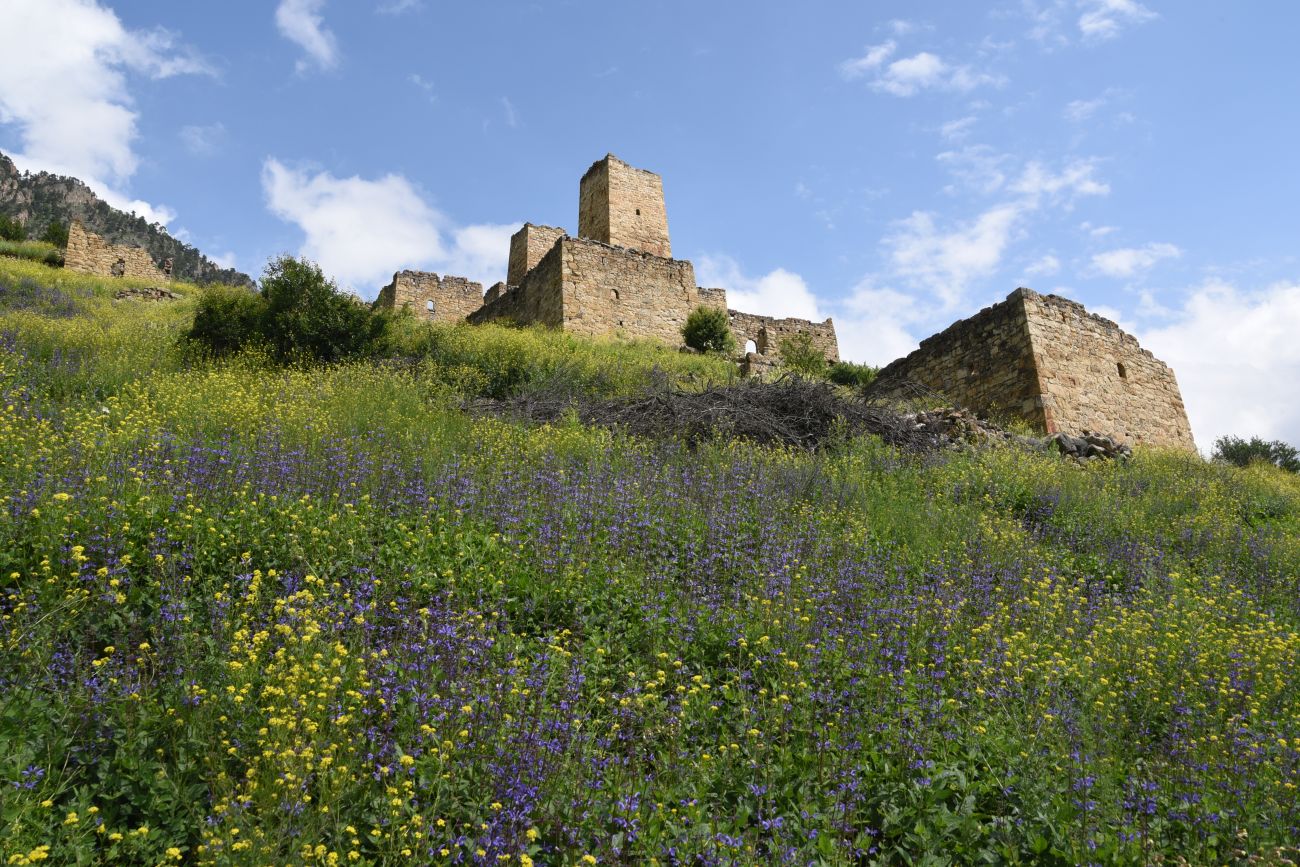 Бархане и окрестности, image of landscape/habitat.
