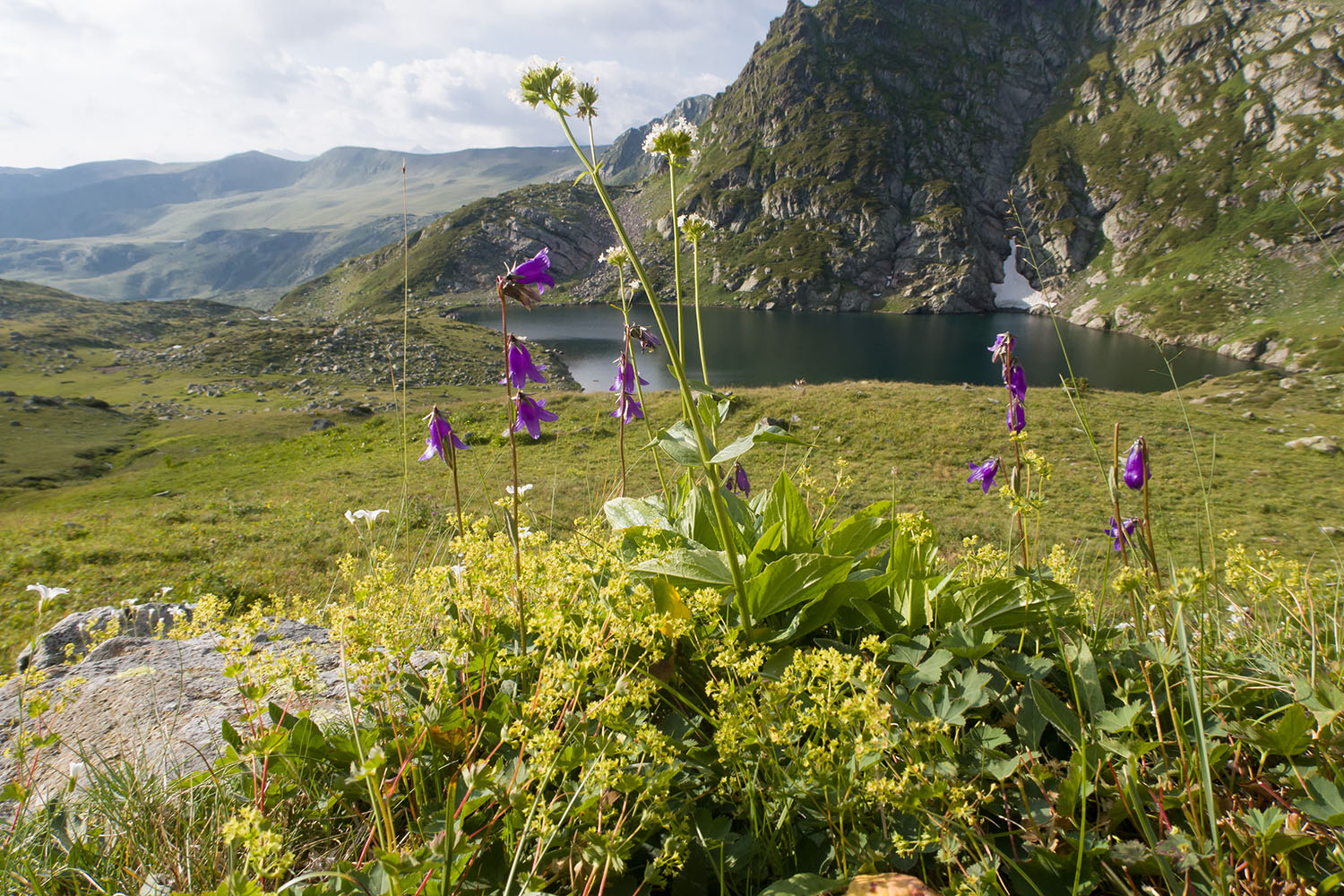 Ацгарские озёра, image of landscape/habitat.