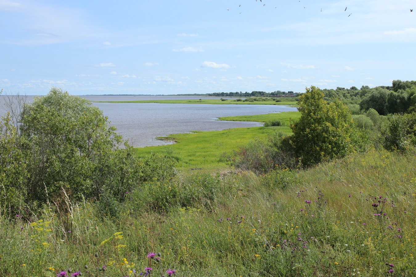 Ильменский глинт, image of landscape/habitat.