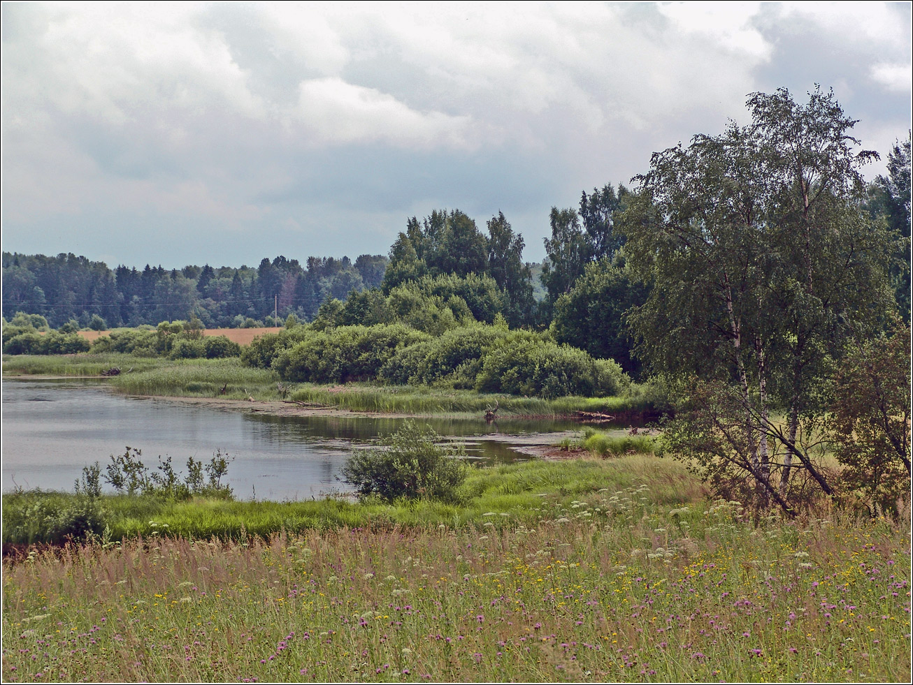 Вазуза, image of landscape/habitat.