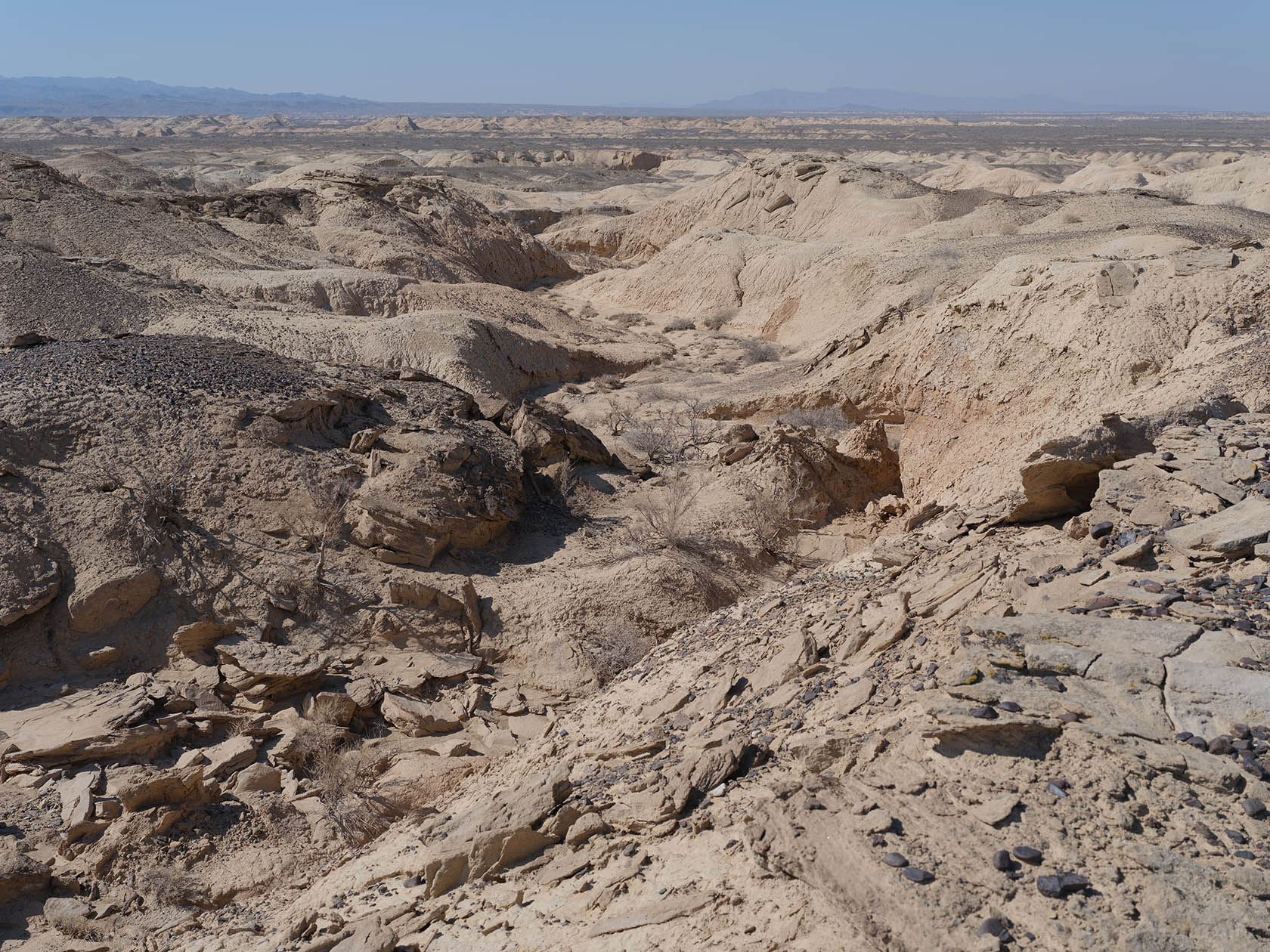 Сарымсакты, image of landscape/habitat.