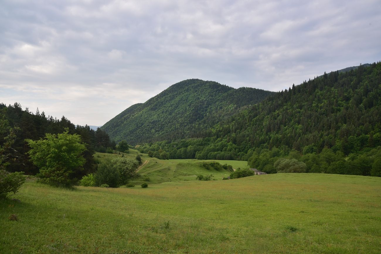 Цинубанская баня, image of landscape/habitat.