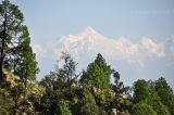 Binsar Wildlife Sanctuary, image of landscape/habitat.