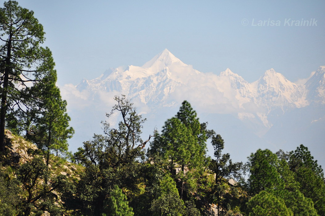 Binsar Wildlife Sanctuary, изображение ландшафта.