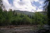 Image of landscape