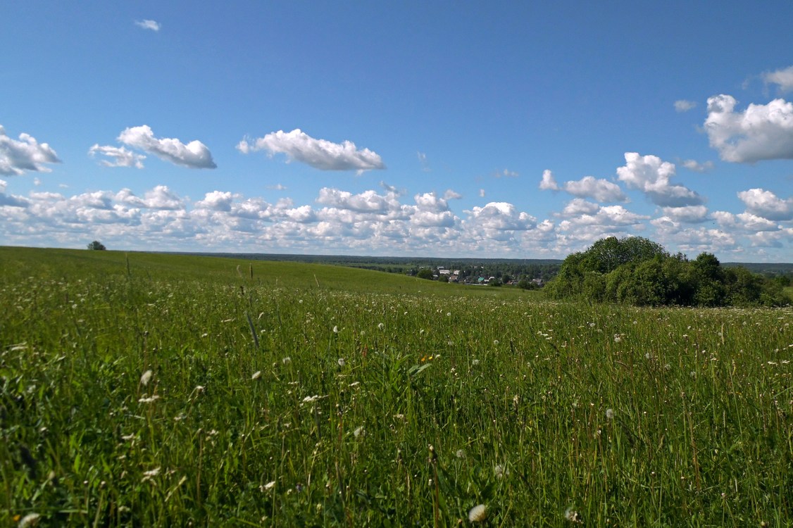 Окрестности Боровичей, image of landscape/habitat.