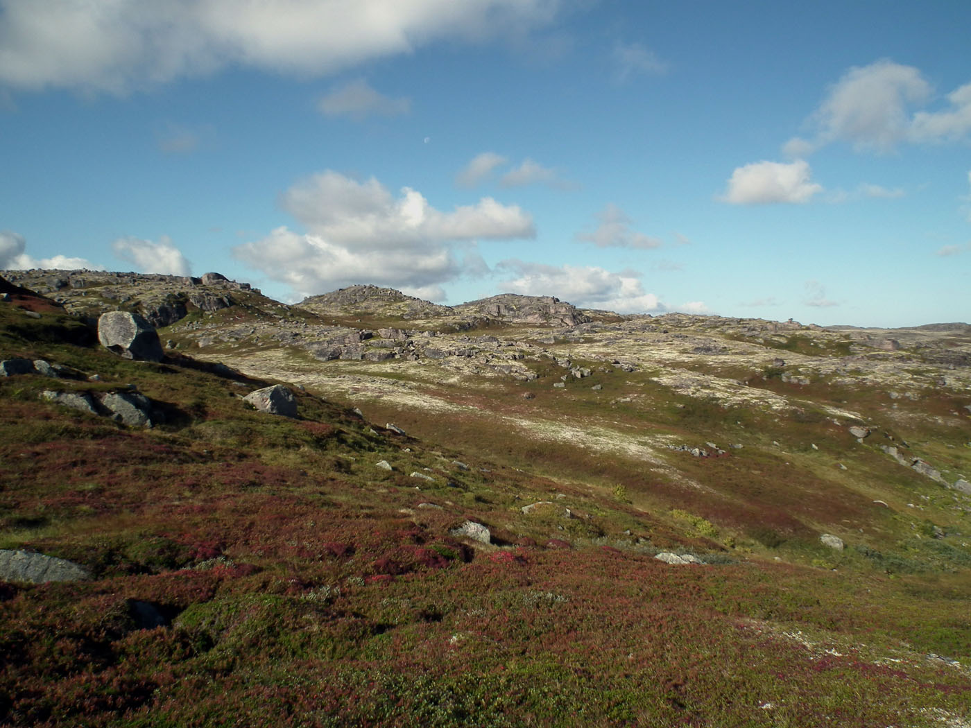 Столбовое озеро, image of landscape/habitat.