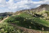 Image of landscape