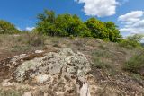 Гора Городище, image of landscape/habitat.