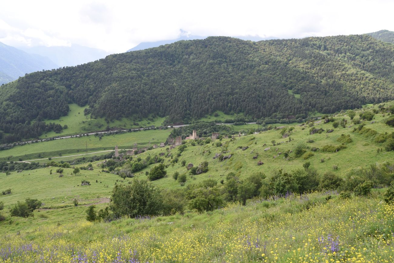 Окрестности Эгикхал, image of landscape/habitat.