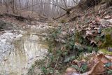 Глубокий Яр, image of landscape/habitat.