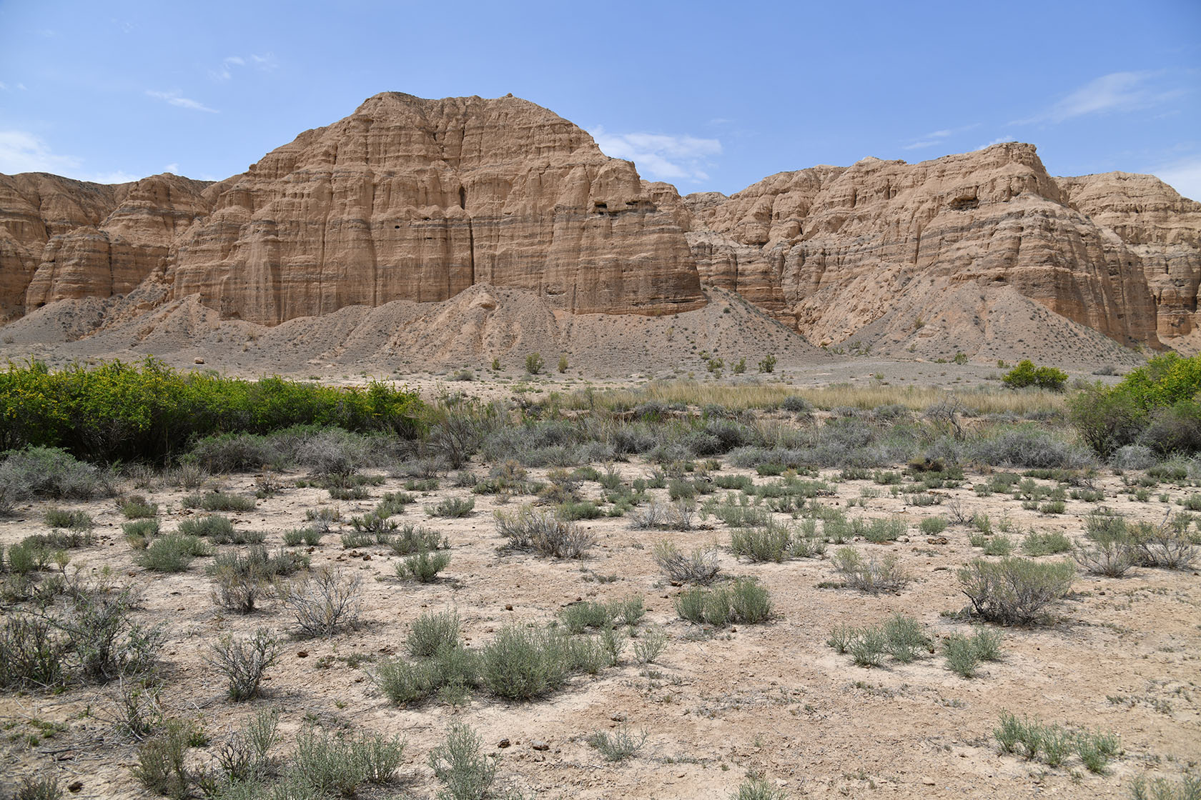 Чарын, image of landscape/habitat.