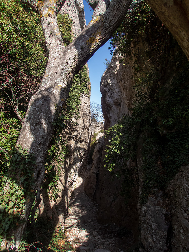 Караул-Оба, изображение ландшафта.